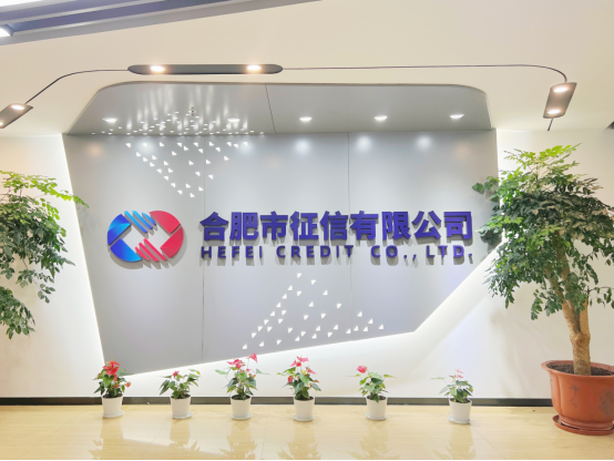 合肥最大的贷款公司