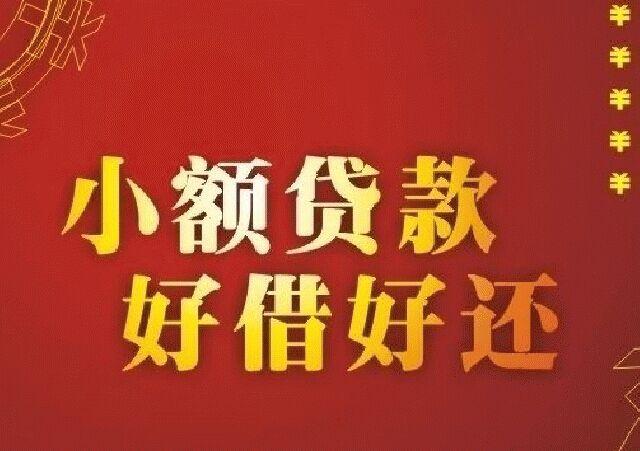 小额贷款公司 财务