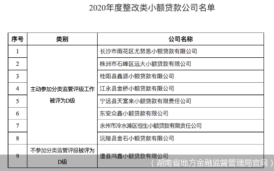 小额贷款公司 财务