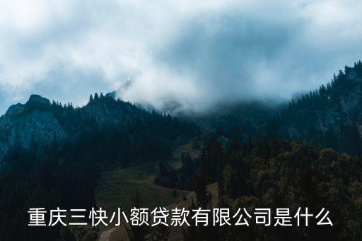 重庆三快小额贷款有限公司是什么