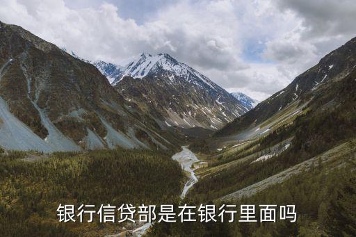 银行信贷部是在银行里面吗