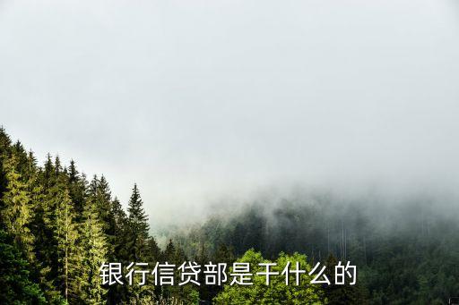 银行信贷部是干什么的