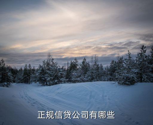正规信贷公司有哪些