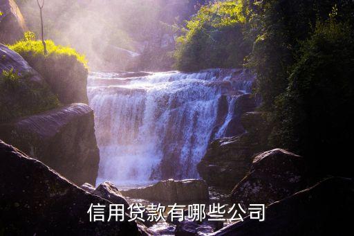 信用贷款有哪些公司