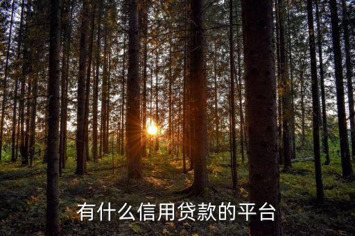 有什么信用贷款的平台