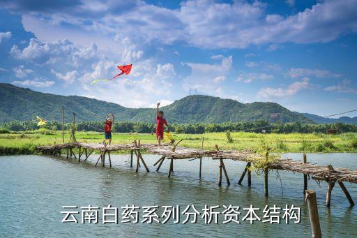  云南白药系列分析资本结构