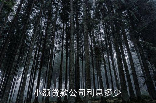 小额贷款公司利息多少