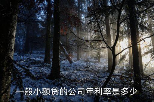 一般小额贷的公司年利率是多少