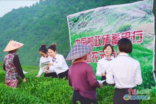 邮储公司贷款
