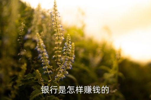 银行是怎样赚钱的