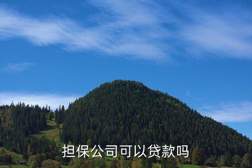 担保公司可以贷款吗