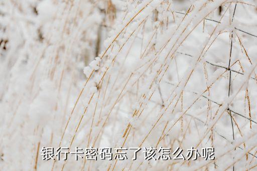 银行卡密码忘了该怎么办呢