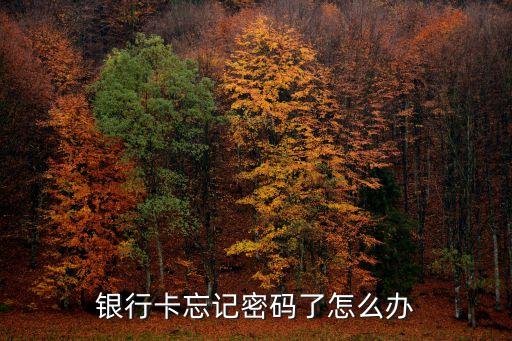 银行卡忘记密码了怎么办