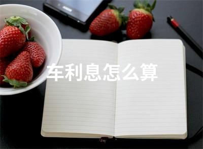 车利息怎么算